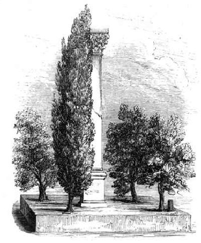 COLUMN OF THEODOSIUS.