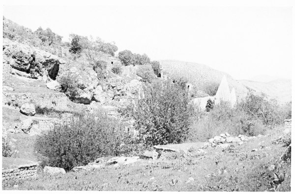 Fig. 179.—SHEIKH ’ADÎ.