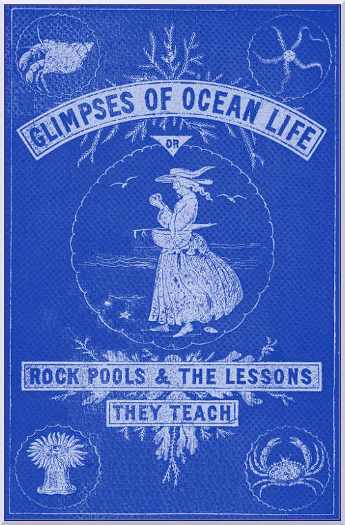 Cover for Glimpses of Ocean Life