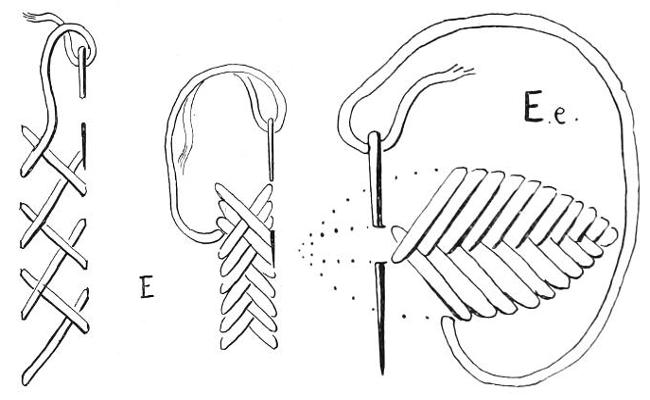 Diagram E