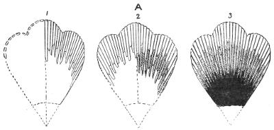 Diagram A, 1 2 3