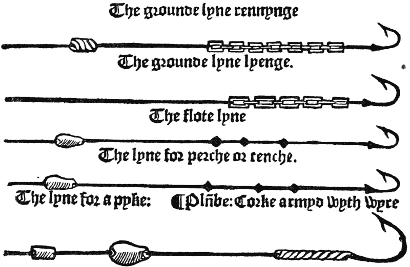  The grounde lyne rennynge
 The grounde lyne lyenge.
 The flote lyne
 The lyne for perche or tenche.
The lyne for a pyke : ¶ Pln̄be : Corke armyd wyth wyre
