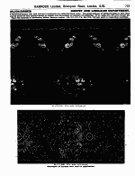 Page 773 Carpet and Linoleum  Department