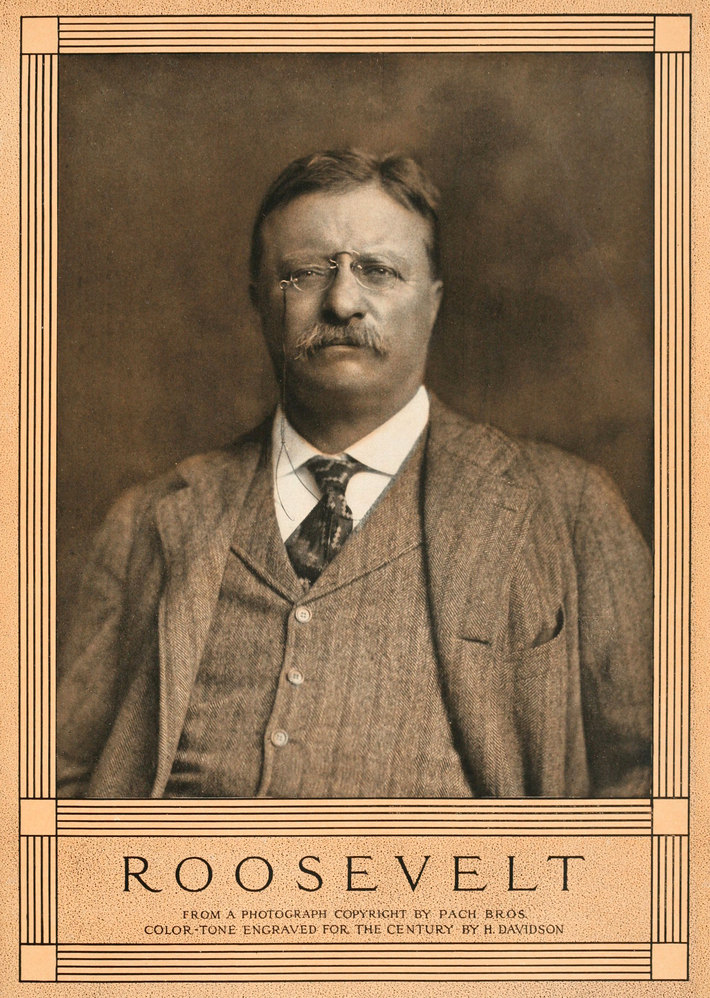 Roosevelt.
    From a photograph; copyright by Pach Bros. Color-tone engraved for
    The Century by H. Davidson