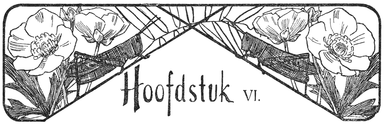 Hoofdstuk VI.