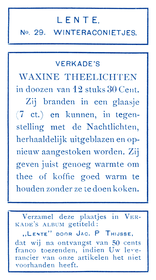 Winter-aconietjes.