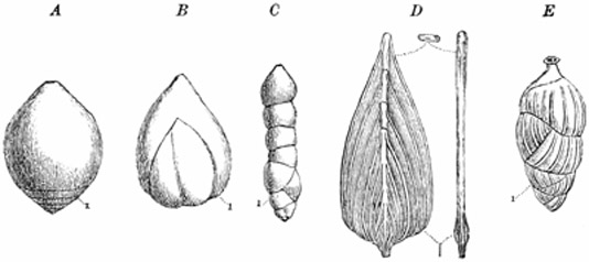 Fig. 29.