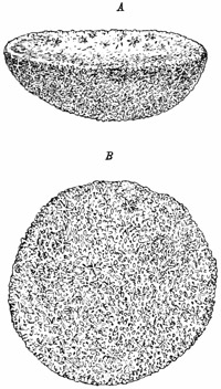 Fig. 72.