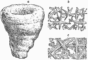 Fig. 76.