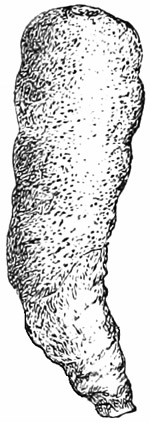 Fig. 89.