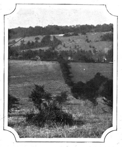 landscape with pastures