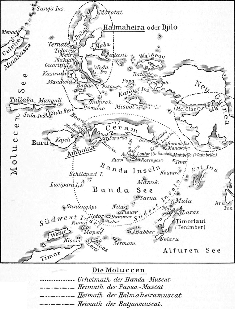 Karte der Moluccen-Inseln