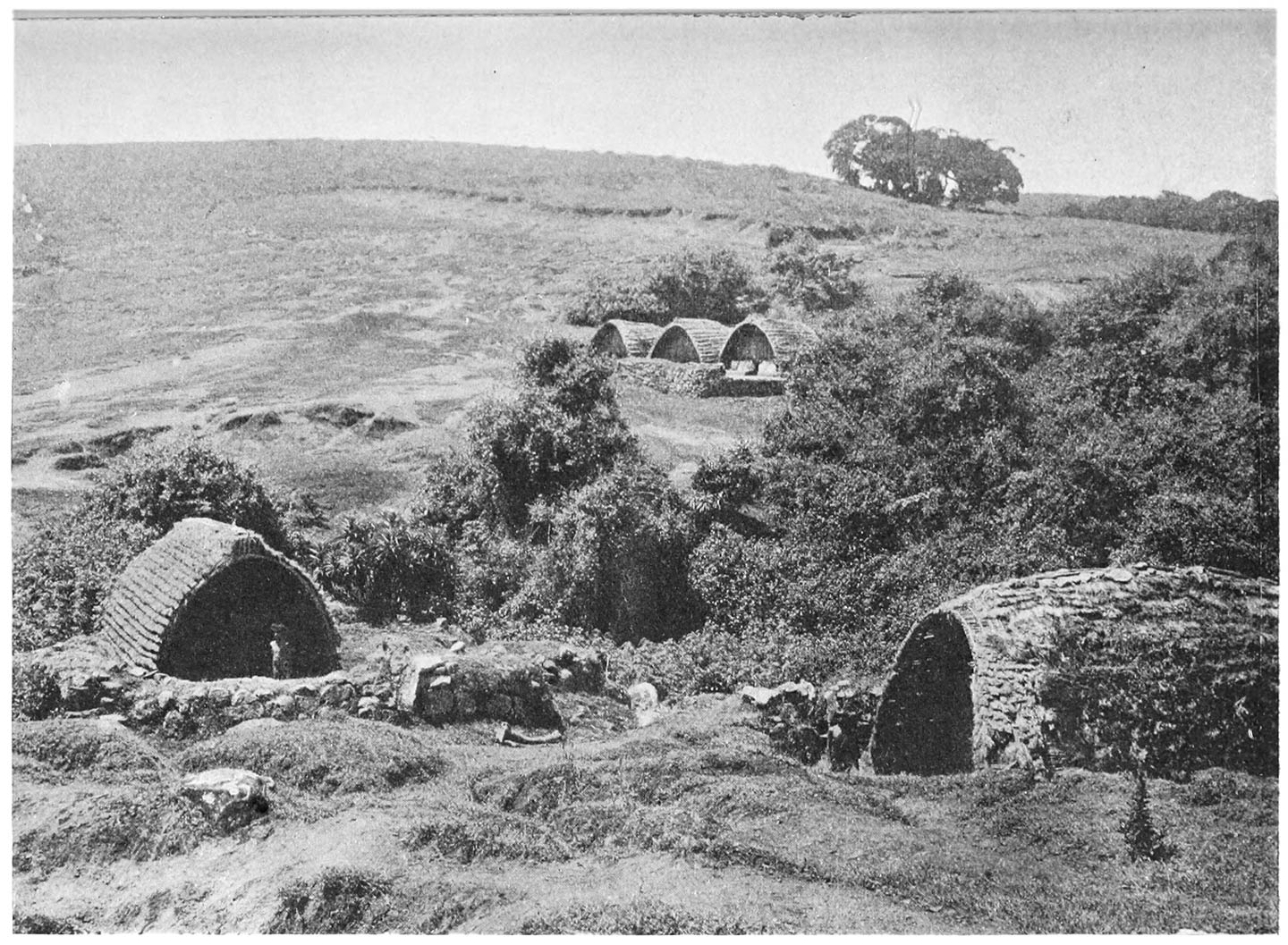 FIG. 5.—THE VILLAGE OF TARADR, SHOWING TWO DAIRIES IN THE FOREGROUND AND THREE HOUSES IN THE BACKGROUND.