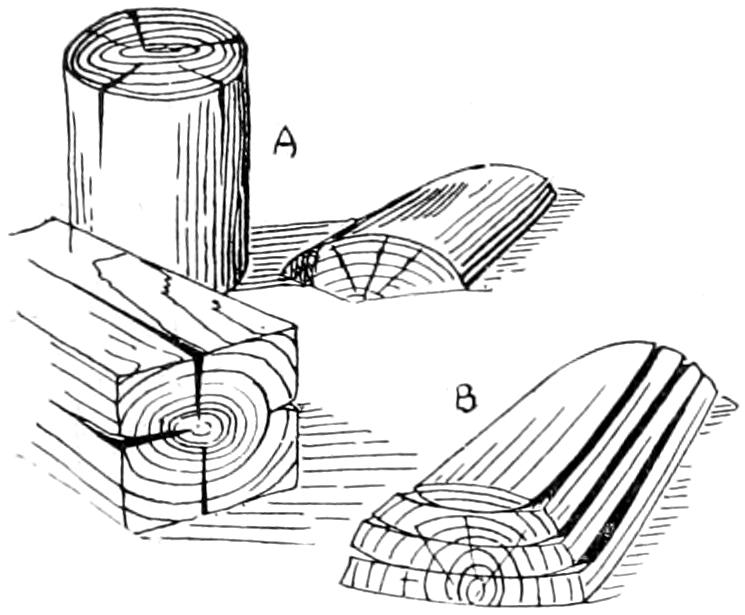 Deformation of wood by drying