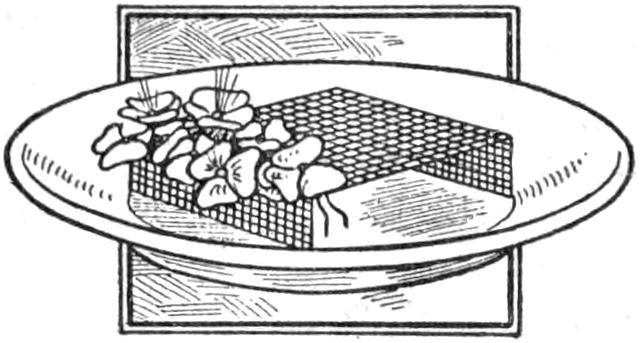 Wire mesh support for flowers in dish