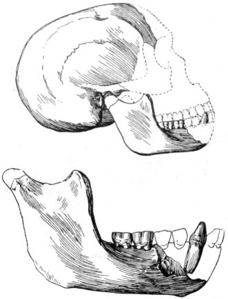 2. ábra.