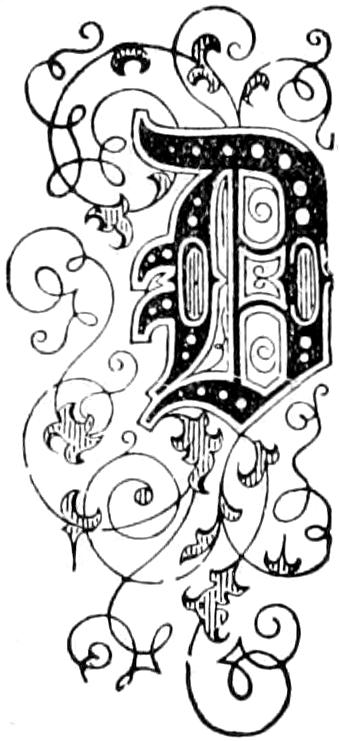 Illustrated capital D