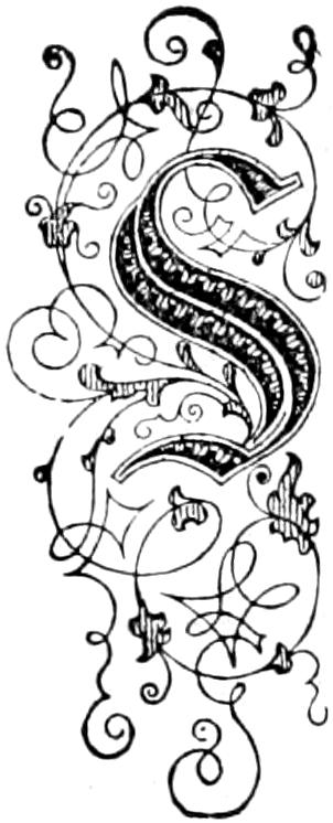 Illustrated capital S