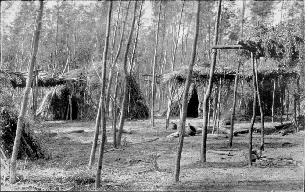 Ein Dorf im Wald