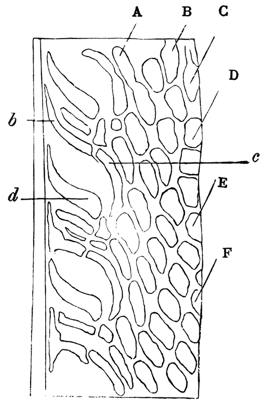 Fig. 57.