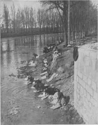 04 Groups of Women on Their Knees Beating Clothes in the Water 