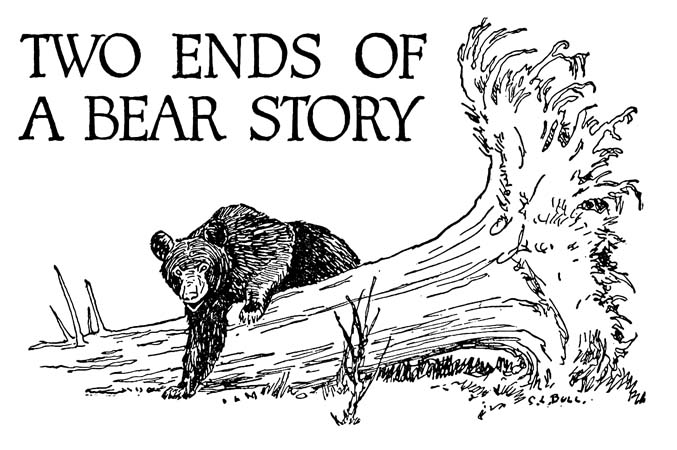 TWO ENDS OF 
A BEAR STORY