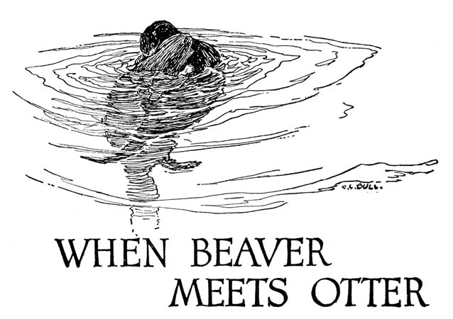 WHEN BEAVER
 MEETS OTTER